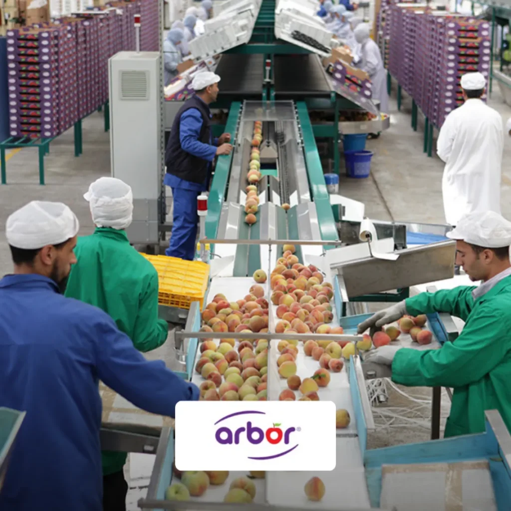 Arbor Maroc