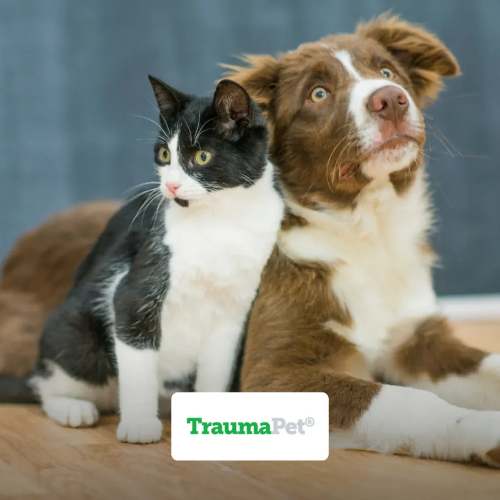 Traumapet France